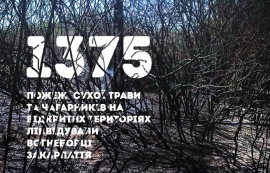 Понад 1300 пожеж сухостою від початку року: ДСНС Закарпаття закликає припинити випалювання трави

