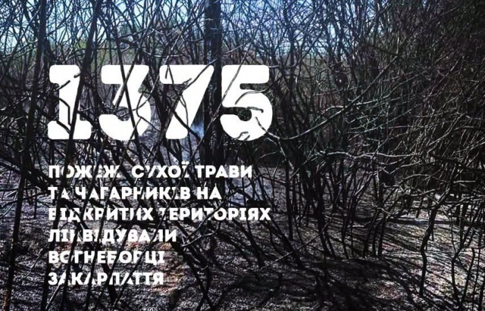 Понад 1300 пожеж сухостою від початку року: ДСНС Закарпаття закликає припинити випалювання трави