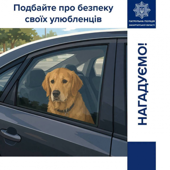 У спеку тварини потребують особливої уваги: патрульні Закарпаття нагадали про прості правила допомоги