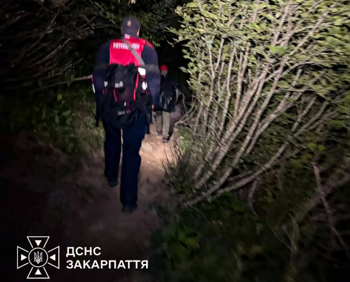 Пошуки тривали понад 13 годин: на Закарпатті врятували туристку, яка заблукала біля Петроса
