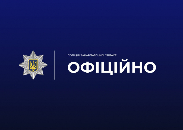 На Закарпатті поліція розслідує можливий розстріл коней: відкрито кримінальне провадження