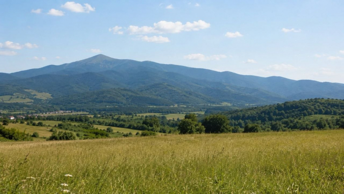 На Хустщині прокуратура через суд вимагає стягнути понад 883 тис. грн боргу за землю
