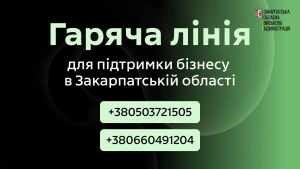 Безпечний тил для українського бізнесу: на Закарпатті запрацювала цілодобова гаряча лінія