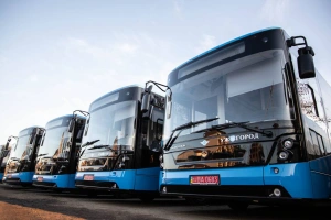 День без авто: в Ужгороді 22 вересня водії зможуть безкоштовно користуватися громадським транспортом