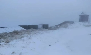 У Карпати прийшла зима: Чорногора вкрилася першим снігом